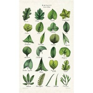 NWOT Anthropologie Botanical Leaf Print Dish Towel Botany Art